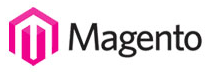 Magento Module